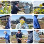 農園だより_3月